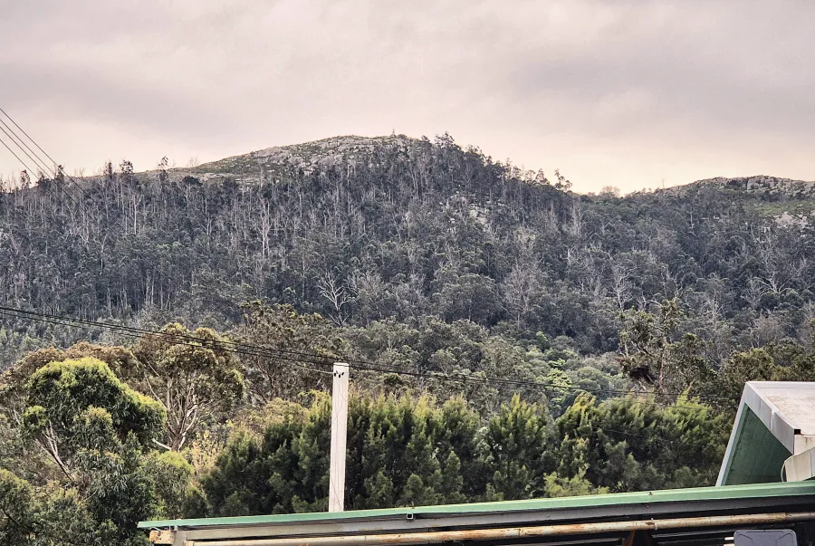 El Cerro del Toro visto desde el predio