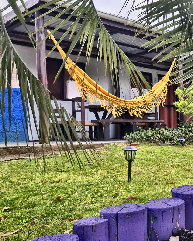 La palmera del jardín con la hamaca al fondo